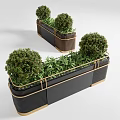 Bonsai Potted Plants In Black Brown Rectangular Planters With Gold Trim And Green Foliage
