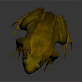 Yellow Toad Standing On Grey Background With Textured Skin And Large Eyes