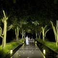 Yellow Decorative Lights Wrapped Around Trees Along Night Scenic Pathway With Greenery And Ground Lights