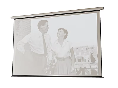 Real Time Projection Monitoring Screen Showing People Interaction In Urban Scene 3d model