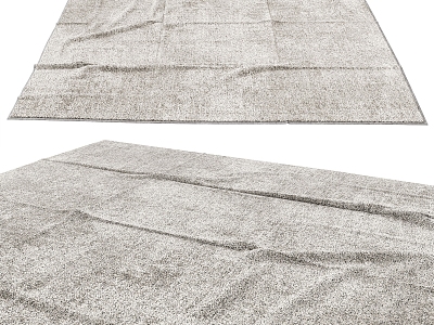 Modern Square Carpet 3d model