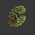 Detailed Green Branched Coral Like Biological Structure Against Black Background