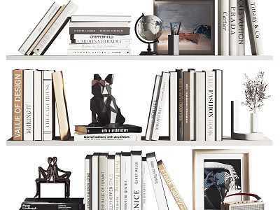 Stylish Decorative Ornament Combination on Bookshelves With Books Globe Sculpture Photo Frames And Plant 3d model