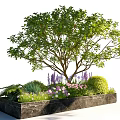 Elegant Plant Combination With Large Tree Purple Pink Flowers Green Shrubs In Black Marble Planter