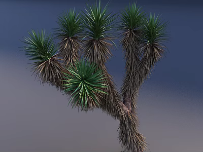 Green Leafy Shrub With Brown Woody Branches And Spiky Foliage In Natural Setting 3d model
