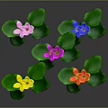 Vibrant Aquatic Plants With Colorful Flowers Green Leaves And Roots