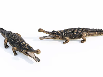 Two Aquatic Animal Crocodile Models With Open Mouths On White Background 3d model