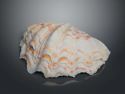 Giant Clam Shell Displaying Vibrant Colorful Patterns And Layered Natural Structure 3d model