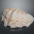 Giant Clam Shell Displaying Vibrant Colorful Patterns And Layered Natural Structure