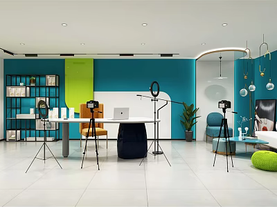 Modern Public Office Area With Turquoise Walls Bookshelves Tripods And Green Plant 3d model