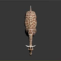 Realistic 3D Rendered Giraffe With Brown White Spots Standing On Dark Background