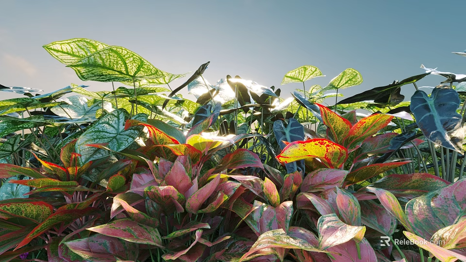 Lush Colorful Shrubs with Vibrant Green Red Pink Leaves Under Bright Sunlight 3d model 