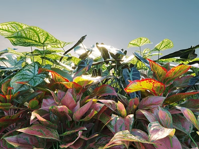 Lush Colorful Shrubs with Vibrant Green Red Pink Leaves Under Bright Sunlight 3d model