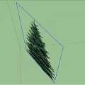 Two Lush Evergreen Trees With Dense Green Foliage And Symmetrical Shape Against White Background
