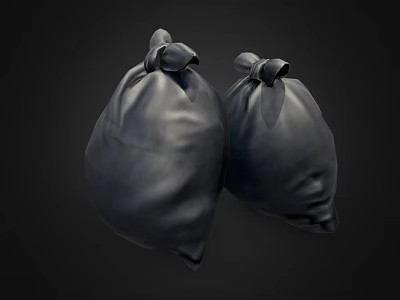 Public Facility Waste Management Using Tied Black Garbage Bags In Public Areas 3d model