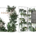 Fashion Themed White Frame Decorative Screen Decorated With Various Green Plants