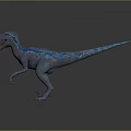Dynamic Realistic Gray Velociraptor With Blue Stripes Open Mouth Sharp Teeth Posing 3d model