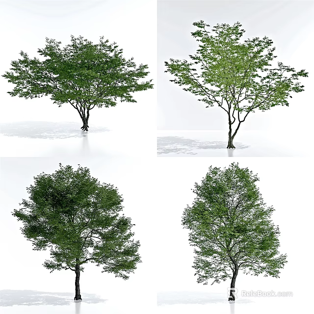 Various Arbor Types Displaying Lush Green Foliage And Diverse Canopy Shapes 3d model