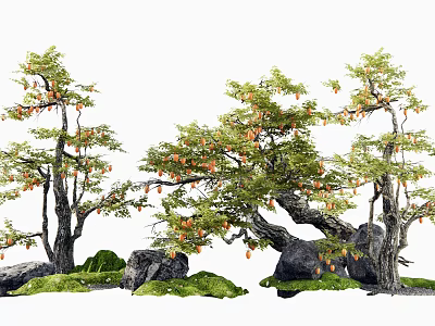 Arbor Trees with Green Foliage Orange Fruits Curved Trunks and Rock Grass Decorations 3d model