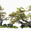 Arbor Trees with Green Foliage Orange Fruits Curved Trunks and Rock Grass Decorations