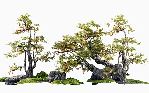 New Chinese Persimmon Tree Landscape Tree Arbor Old Pile Fruit Tree Stone Micro-terrain Moss Landscape Dry Landscape 3d model