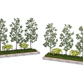 Arbor Trees Arranged in Stone Bases With Green Grass and Small Shrubs