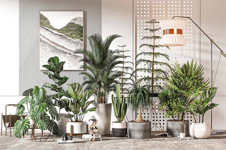 Various Indoor Potted Plants Decoration Arrangement in Modern Home Interior 3d model 
