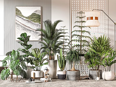 Various Indoor Potted Plants Decoration Arrangement in Modern Home Interior 3d model