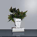 Potted Plant with Green and Red Leaves in White Face Shaped Vase on Stacked Books