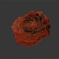 Red Rose with Layered Petals Shiny Surface and Reflection on Gray Background 3d model