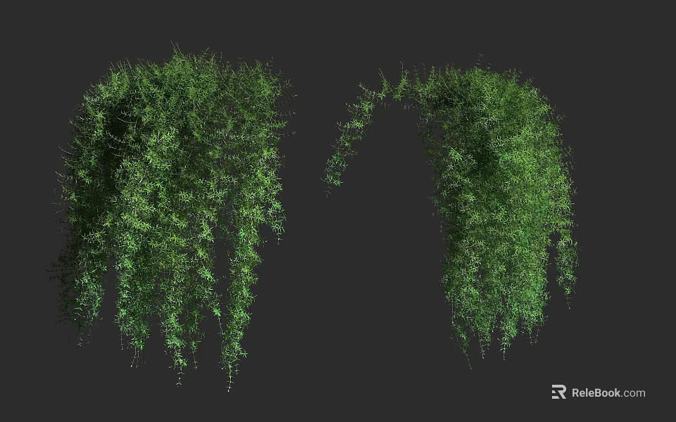Lush Green Hanging Shrubs With Trailing Branches And Dense Foliage 3d model 