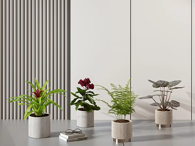 Various Potted Plants With Decorative Pots In Modern Interior On Gray Table With Book 3d model