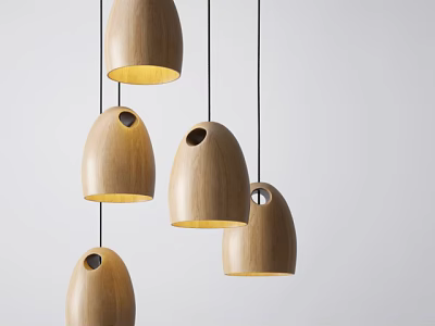 Modern Wooden Egg Shaped Pendant Lights With Holes Hanging In Interior Decor 3d model