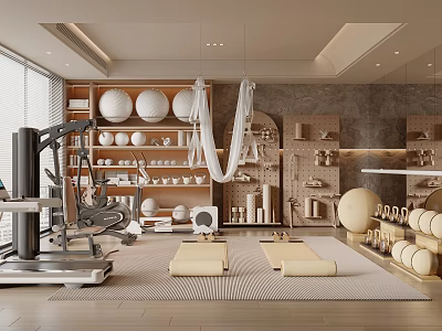 Modern Fitness Studio With Workout Equipment Yoga Mat Exercise Balls And Suspension Trainer 3d model