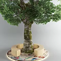 Tall Tree With Green Leaves On Circular Platform With Curved Seats And Colorful Floor