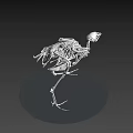 Detailed Bird Skeleton 3D Model with Anatomical Details and Standing Pose