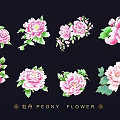 Pink Peony Flower Wall Decor With Various Decorative Patterns For Home Decoration