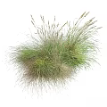 Decorative Ornament Set With Herbaceous Plants Green And Light Brown Grass Blades For Home Decor