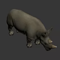 Detailed Realistic 3D Rhinoceros Model With Horns Standing On Black Background