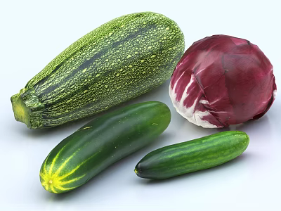 Fresh Green Striped Zucchini With Red Radicchio And Green Cucumbers 3d model