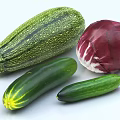 Fresh Green Striped Zucchini With Red Radicchio And Green Cucumbers