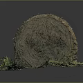 Natural Hay Bale With Green Plants Growing At Base On Dark Background