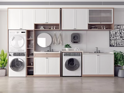 Modern Bathroom Cabinetry with Washing Machine Dryer Upper Cabinets Mirror Sink and Green Plant 3d model