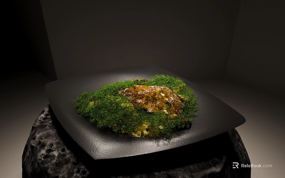 Green Moss Growing On Black Square Plate With Decorative Stone In Minimalist Setting 3d model 