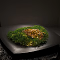 Green Moss Growing On Black Square Plate With Decorative Stone In Minimalist Setting