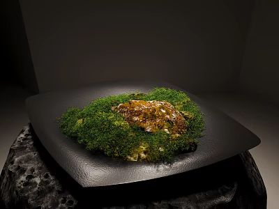 Green Moss Growing On Black Square Plate With Decorative Stone In Minimalist Setting 3d model