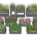 Modern Black Flower Planters With Various Colorful Flowers And Green Plants