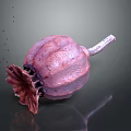 Pinkish Purple Poppy Pod With Stem And Residual Petals 3D Rendered On Dark Background