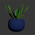 Green Leafy Plant in Blue Spherical Pot with Long Slender Leaves Against Gray Background