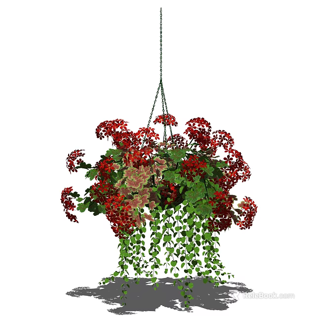 Hanging Basket Plant With Red Flowers Green Leaves And Cascading Foliage For Home Decor 3d model 